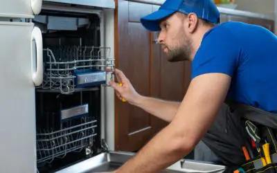 Why Does Your Dishwasher Smell Bad?