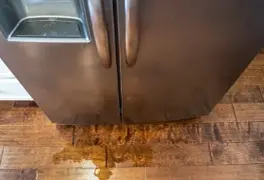 Appliance Repair Near Me-Canada Appliance Services-Water Leak