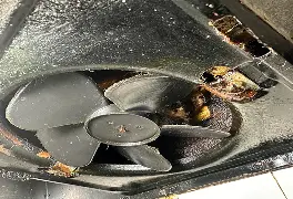 Hood Fan Repair-Appliance Repair Near Me-Canada Appliance Services-fan power
